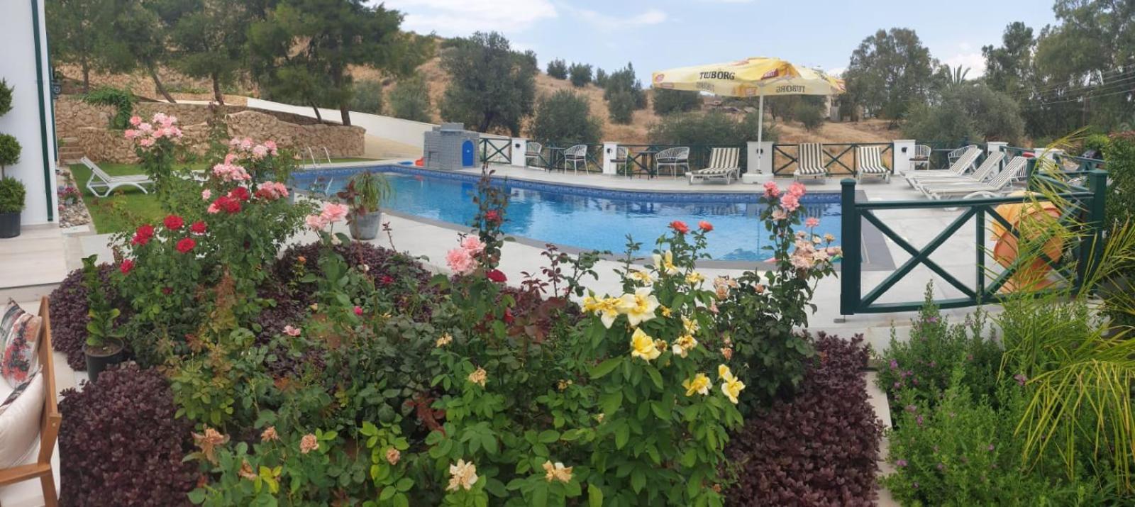 Dervise Mehmet Guest House Lefka  Exterior foto